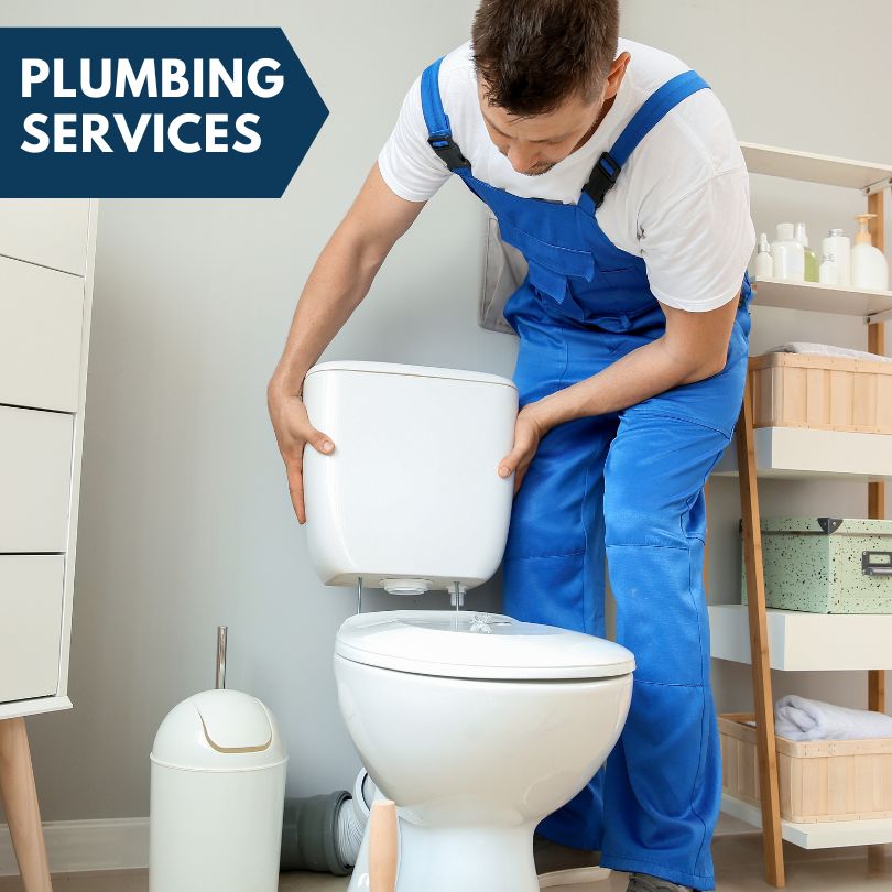 Plumbing Company in Lake City, CO